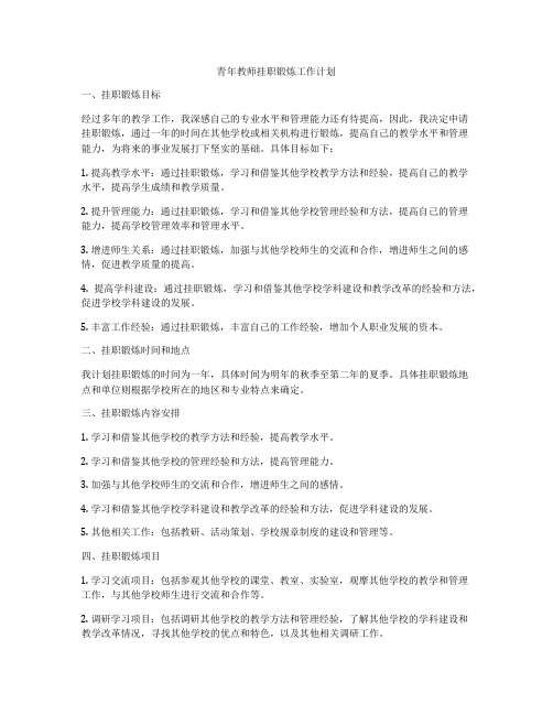 青年教师挂职锻炼工作计划