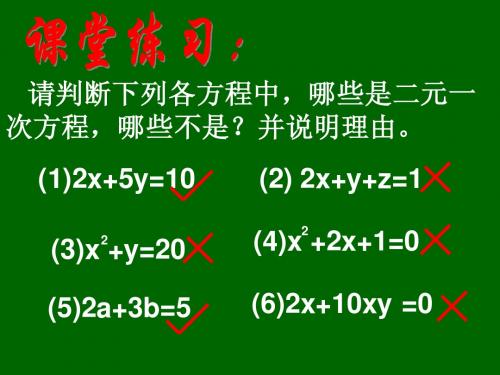 10.1认识二元一次方程组习题课课件(青岛版)