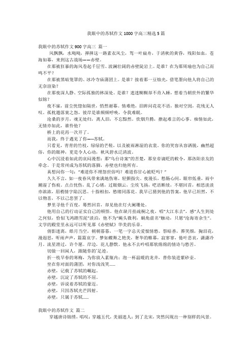 我眼中的苏轼作文1000字高三精选5篇