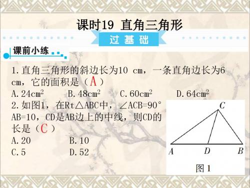 广东省2017中考数学复习第1部分基础过关第四单元三角形课时19直角三角形课件