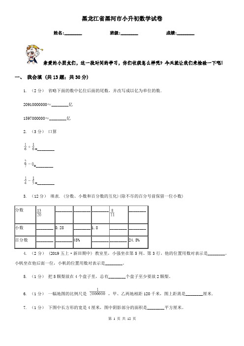 黑龙江省黑河市小升初数学试卷