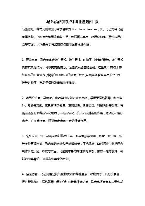 马齿苋的特点和用途是什么