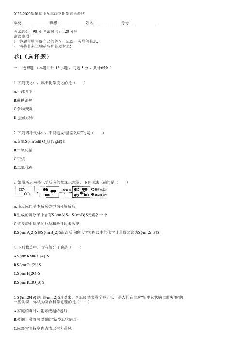 2022-2023学年人教版九年级下化学普通考试含答案及解析053139.pdf)