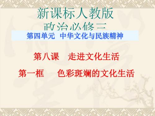 【高中政治】色彩斑斓的文化生活ppt精品课件9