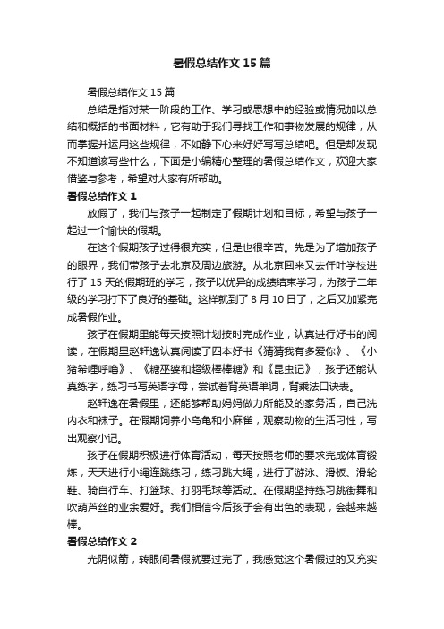 暑假总结作文15篇