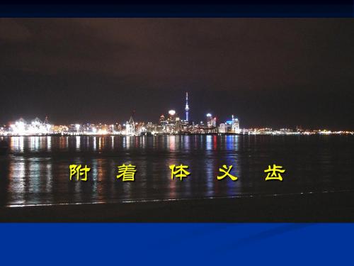 义齿固位方式现状与进展