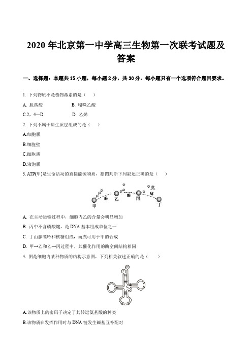 2020年北京第一中学高三生物第一次联考试题及答案