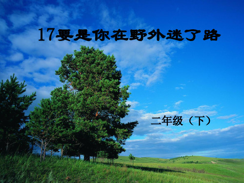 2021年人教部编版二年级下册语文课件-17要是你在野外迷了路 ( (共19张PPT)