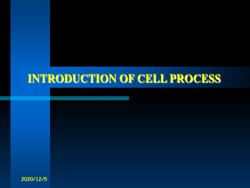 CELL制程简介PPT课件