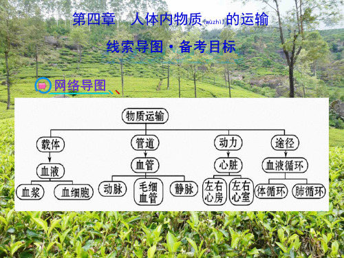 七年级生物下册第四章人体内物质的运输初中七年级下册生物