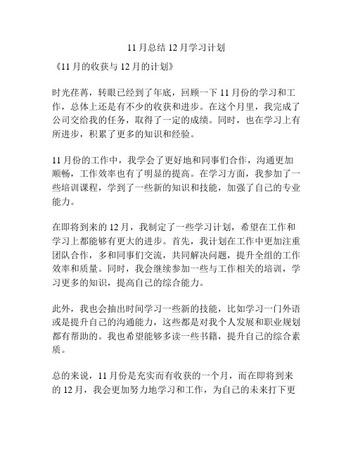 11月总结12月学习计划