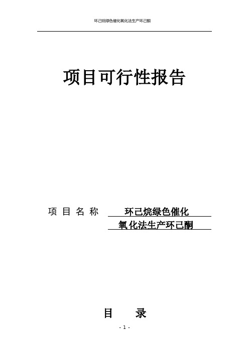 环己烷绿色催化氧化法生产环己酮 年产10万吨 项目可行性报告