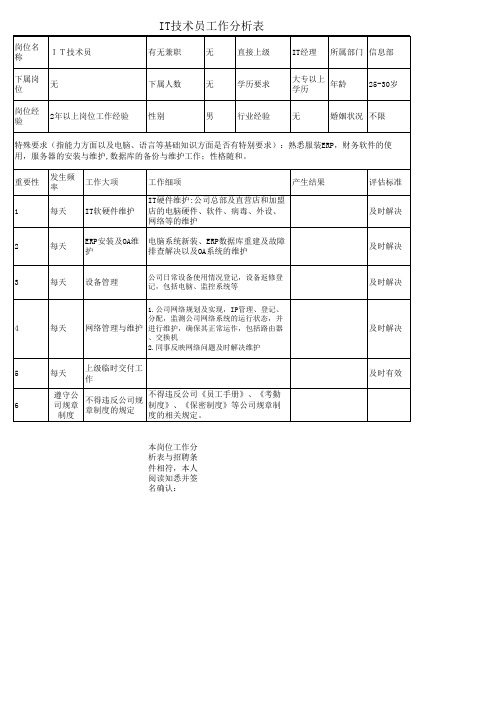 IT技术员工作分析表