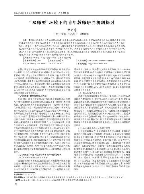 “双师型”环境下的青年教师培养机制探讨