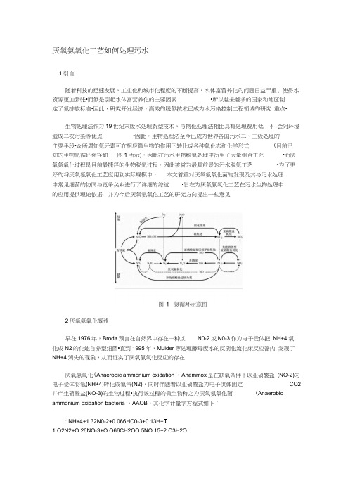 厌氧氨氧化工艺如何处理污水