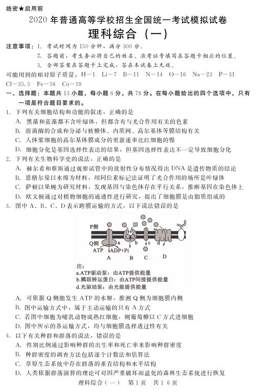 河北2020届高三新时代NT教育模拟理科综合试题样卷