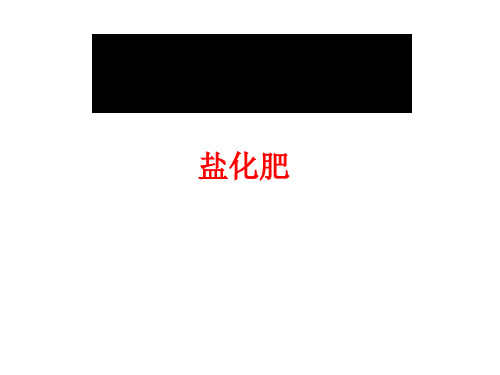 盐、化肥复习PPT课件(4份打包)