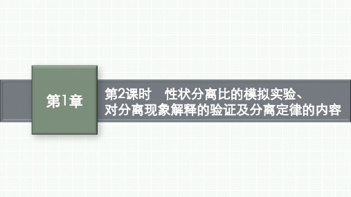 人教版高中生物学必修2课件 第1章第2课时性状分离比的模拟实验、对分离现象解释的验证及分离定律的内容