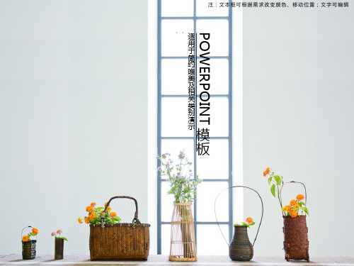 简约淡雅PPT模板