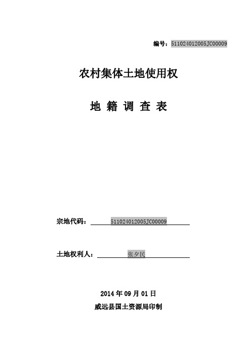 地籍调查表(宅基地)模板-82年以前的