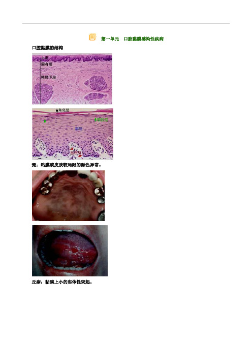 医师执业口腔内科学讲义1011