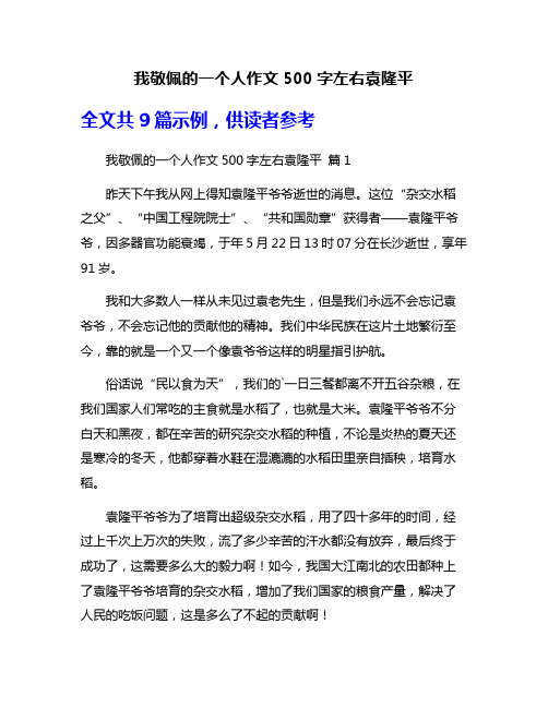 我敬佩的一个人作文500字左右袁隆平