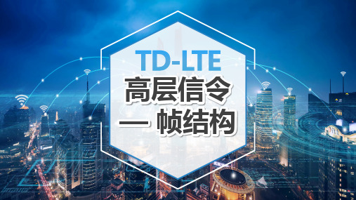 《TD-LTE高层信令》帧结构  8