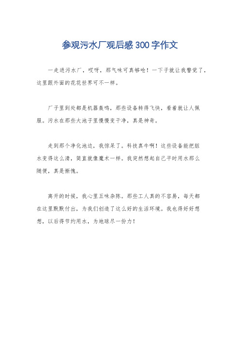 参观污水厂观后感300字作文