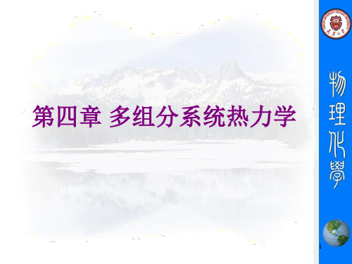 天津大学物理化学课件第四章 多组分系统热力学概要