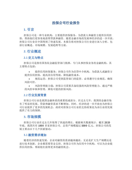 担保公司行业报告