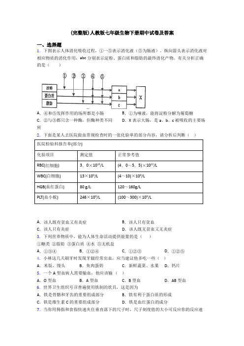 (完整版)人教版七年级生物下册期中试卷及答案