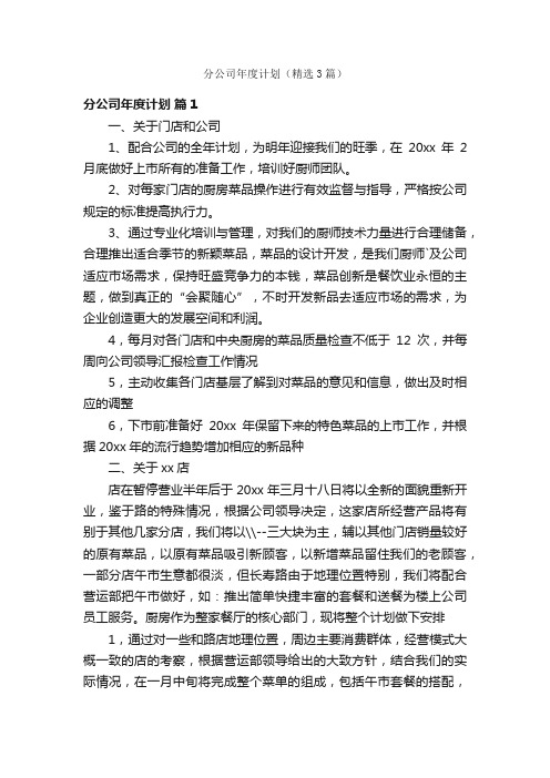 分公司年度计划（精选3篇）