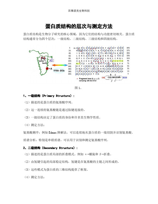 蛋白质结构的层次与测定方法