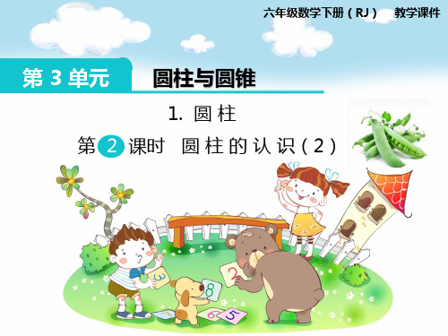 部编人教版六年级数学下册《第3单元圆柱与圆锥第2课时 圆柱的认识(2)》精品PPT优质课件
