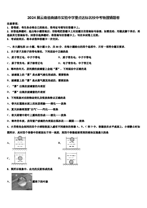 2024届云南省曲靖市实验中学重点达标名校中考物理猜题卷含解析