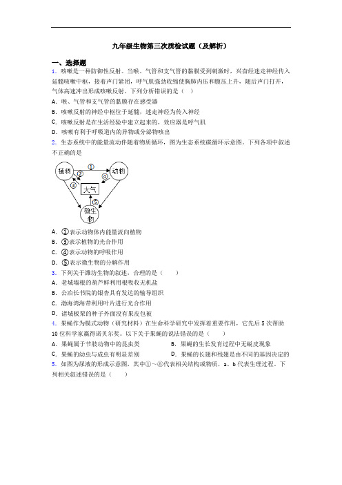 九年级生物第三次质检试题(及解析)