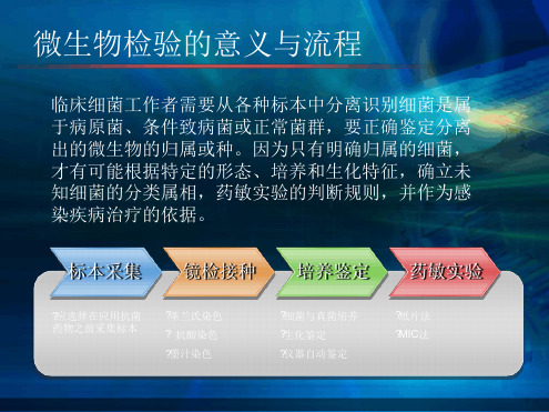 临床微生物的鉴定与药敏