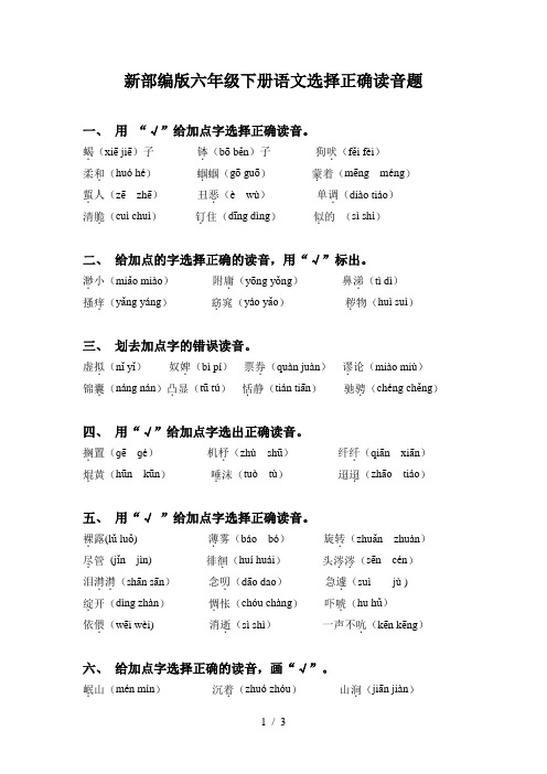 新部编版六年级下册语文选择正确读音题