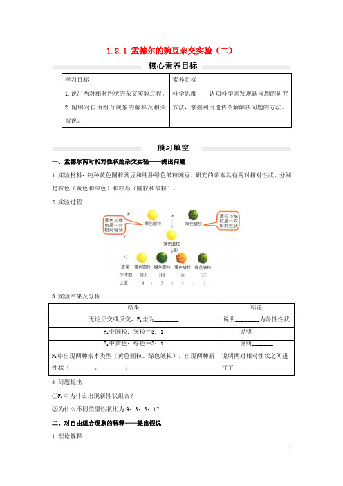 新教材高中生物 孟德尔的豌豆杂交实验(二)讲义(无答案)新人教版必修2