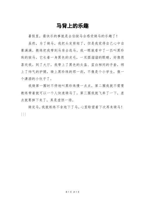 马背上的乐趣_二年级作文