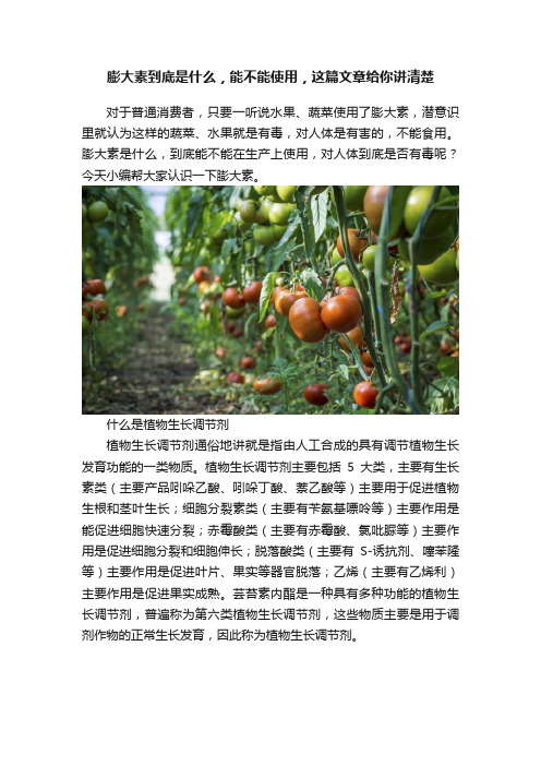 膨大素到底是什么，能不能使用，这篇文章给你讲清楚