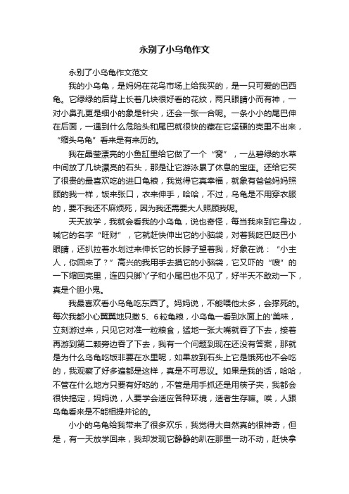 永别了小乌龟作文