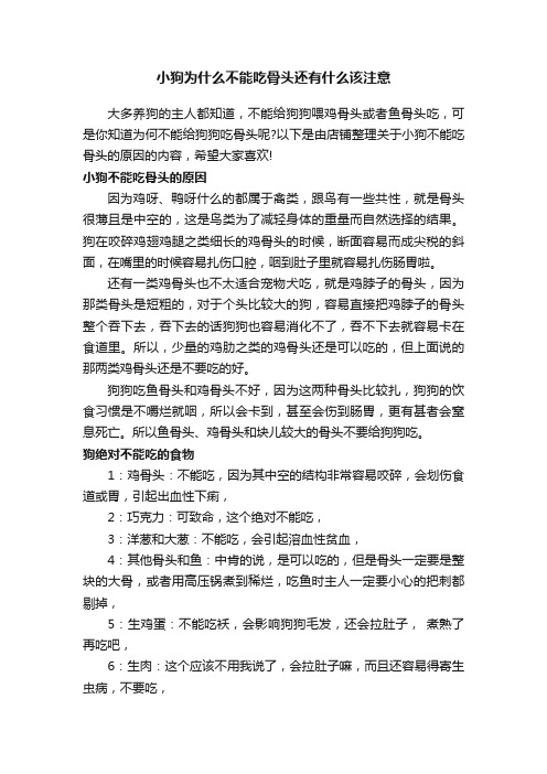 小狗为什么不能吃骨头还有什么该注意