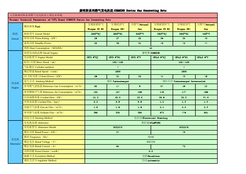 康明斯系列燃气发电机组