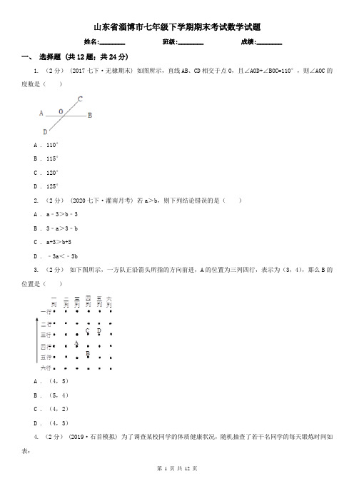 山东省淄博市七年级下学期期末考试数学试题