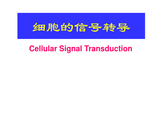 细胞生物学课件 第九章 细胞信号转导