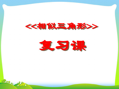 【最新】苏科版九年级数学下册第六章《相似三角形复习》公开课课件