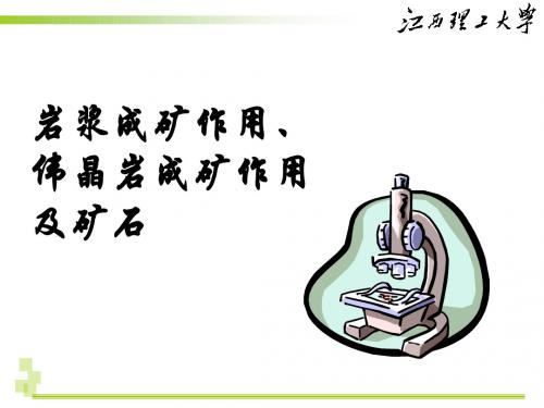 12 岩浆成矿作用、伟晶岩成矿作用及其矿石