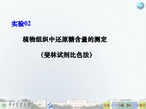 生化实验02斐林试剂比色法测还原糖含量