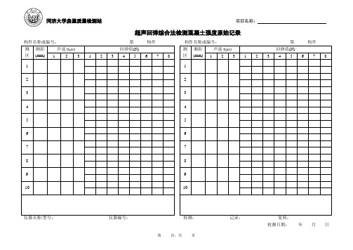 现场检测原始记录表